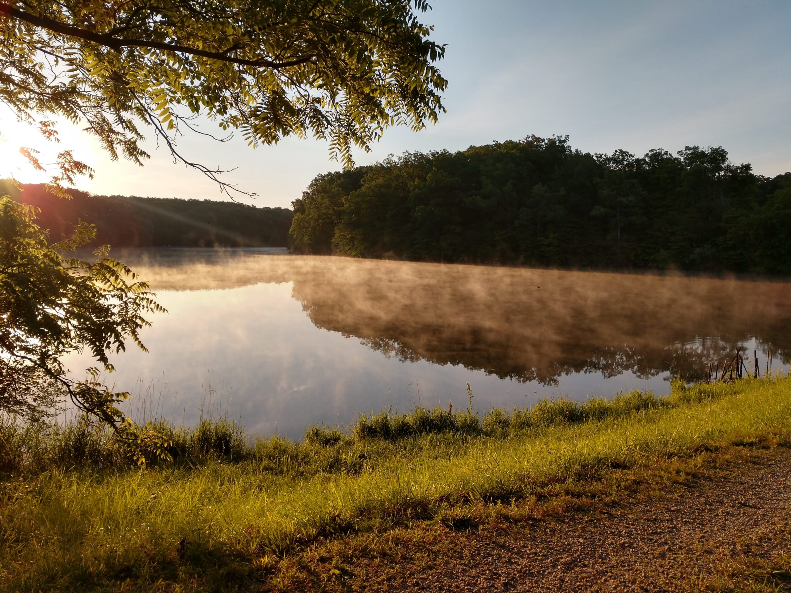 Fog on the water of Lake Walter Scott near dawn