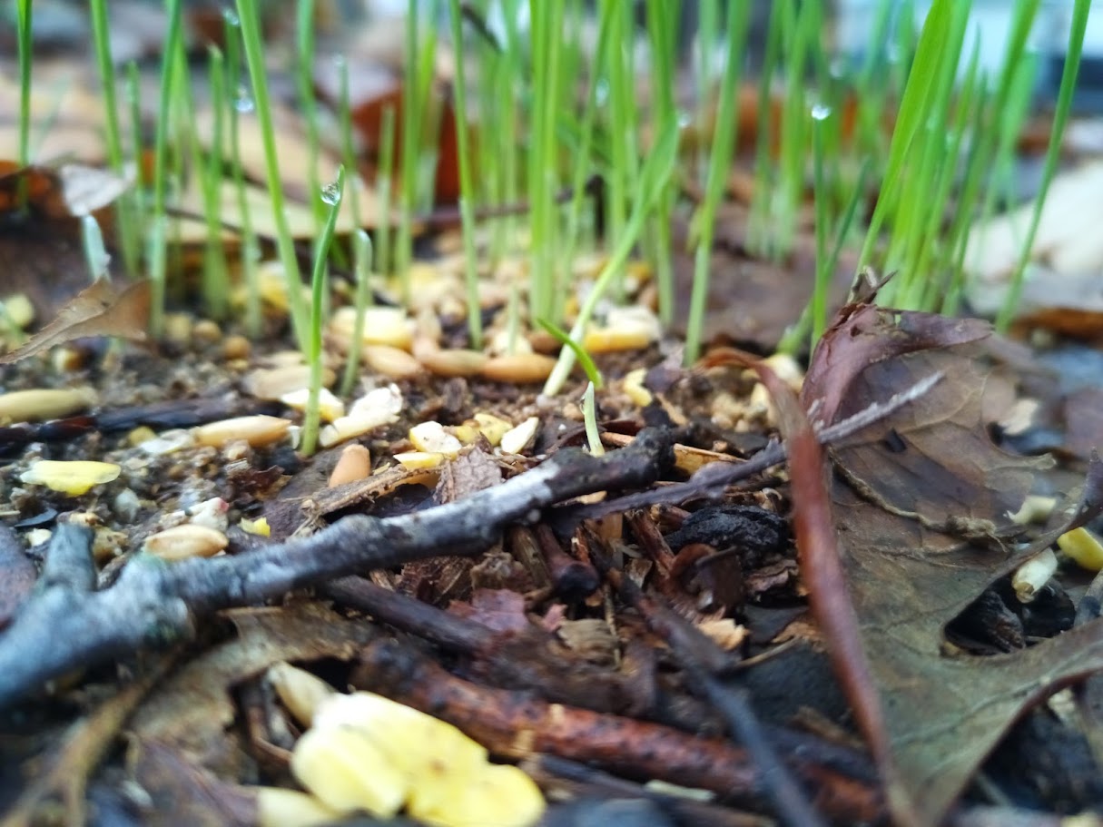 Reflection: Worth & Value